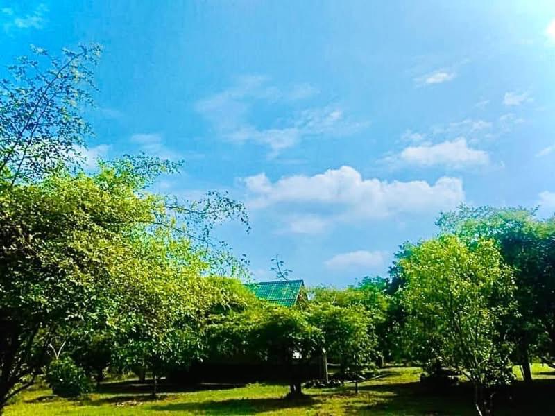 Bed and Breakfast Thihawa Eco Huts Yala Tissamaharama Exterior foto
