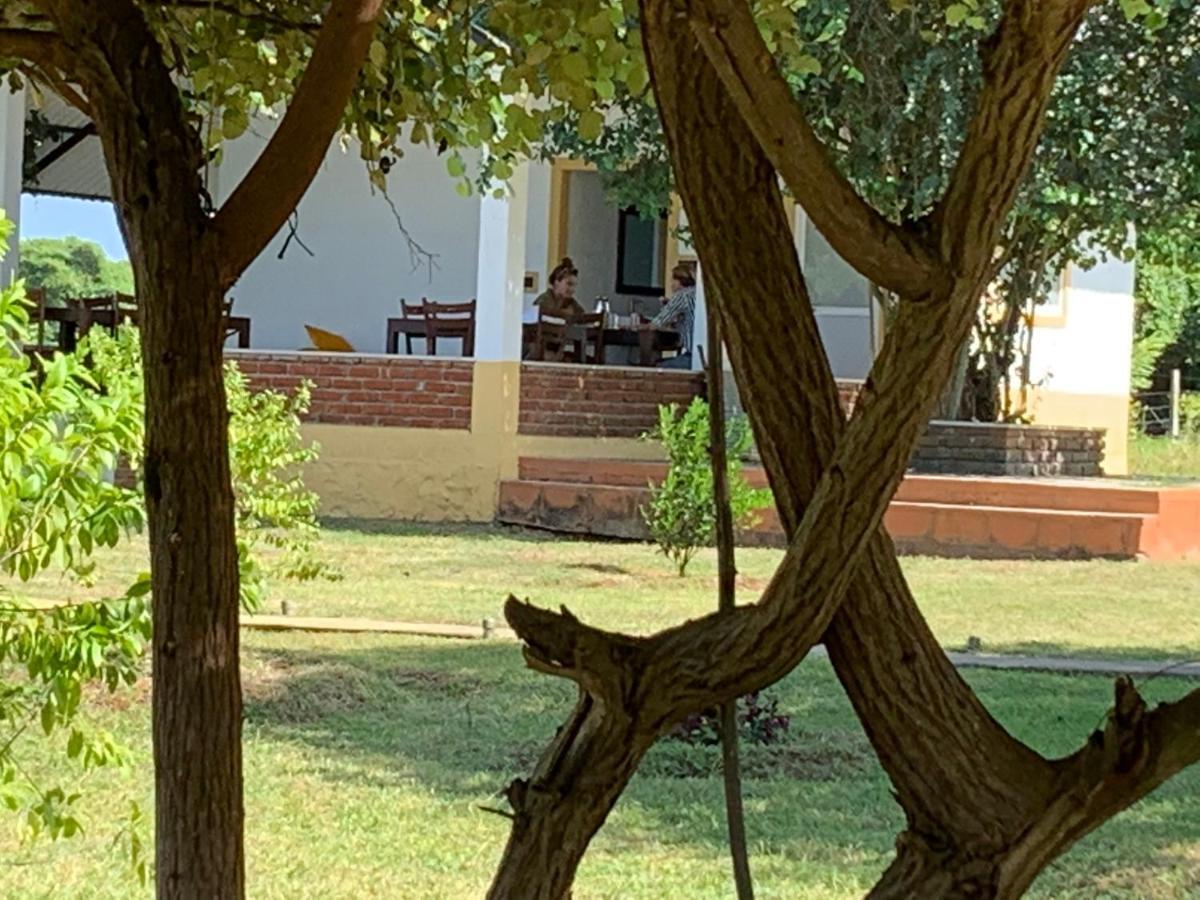 Bed and Breakfast Thihawa Eco Huts Yala Tissamaharama Exterior foto