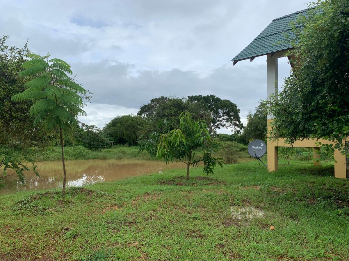 Bed and Breakfast Thihawa Eco Huts Yala Tissamaharama Exterior foto
